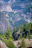 Click on thumbnail to view a full-size image