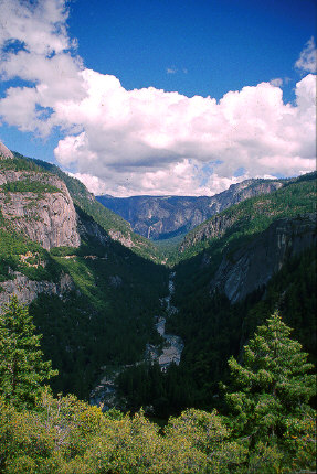 A view of Yosemite Valley