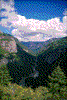 Click on thumbnail to view a full-size image