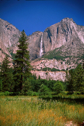 Yosemite Falls