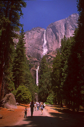 Yosemite Falls from trail
