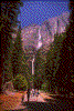 Click on thumbnail to view a full-size image