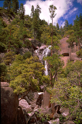 Falls