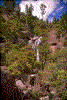 Click on thumbnail to view a full-size image