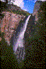 Click on thumbnail to view a full-size image