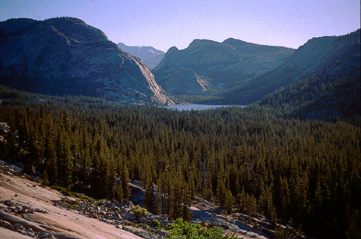 Tenaya Lake