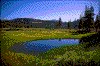 Click on thumbnail to view a full-size image