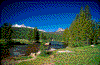 Click on thumbnail to view a full-size image