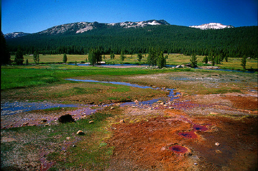 Soda Springs