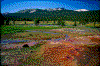 Click on thumbnail to view a full-size image
