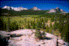 Click on thumbnail to view a full-size image