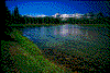 Click on thumbnail to view a full-size image