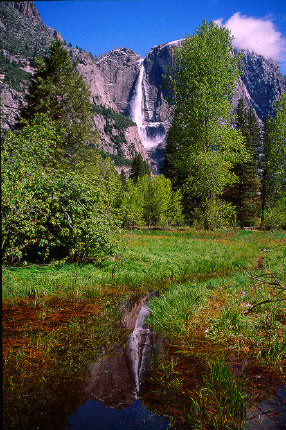 Reflection of Yosemite Falls