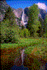 Click on thumbnail to view a full-size image