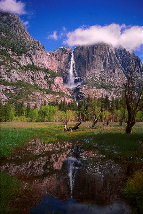 Meadow and Yosemite Falls