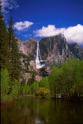 Merced River and Yosemite Falls