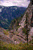 Click on thumbnail to view a full-size image