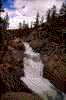 Click on thumbnail to view a full-size image