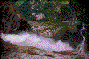 Click on thumbnail to view a full-size image