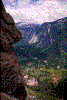 Click on thumbnail to view a full-size image