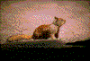 Click on thumbnail to view a full-size image