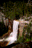 Click on thumbnail to view a full-size image