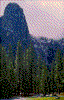 Click on thumbnail to view a full-size image