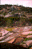 Click on thumbnail to view a full-size image