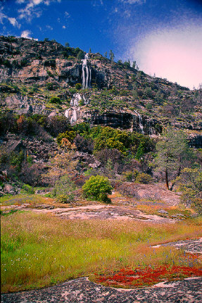 Falls and wildflowers