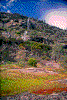 Click on thumbnail to view a full-size image