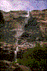 Click on thumbnail to view a full-size image